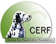 CERF Canine Eye Registration Foundation