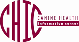 CHIC Canine Health Information Center