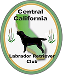 Central California Labrador Retriever Club