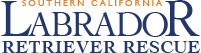Southern California Labrador Retriever Rescue