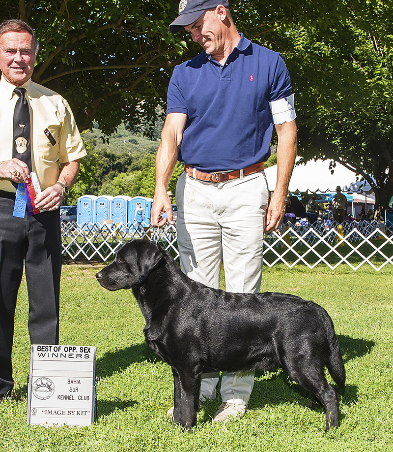 une 18, 2017 @ 17 months WD & BOS, BSKC, Valley Center, CA