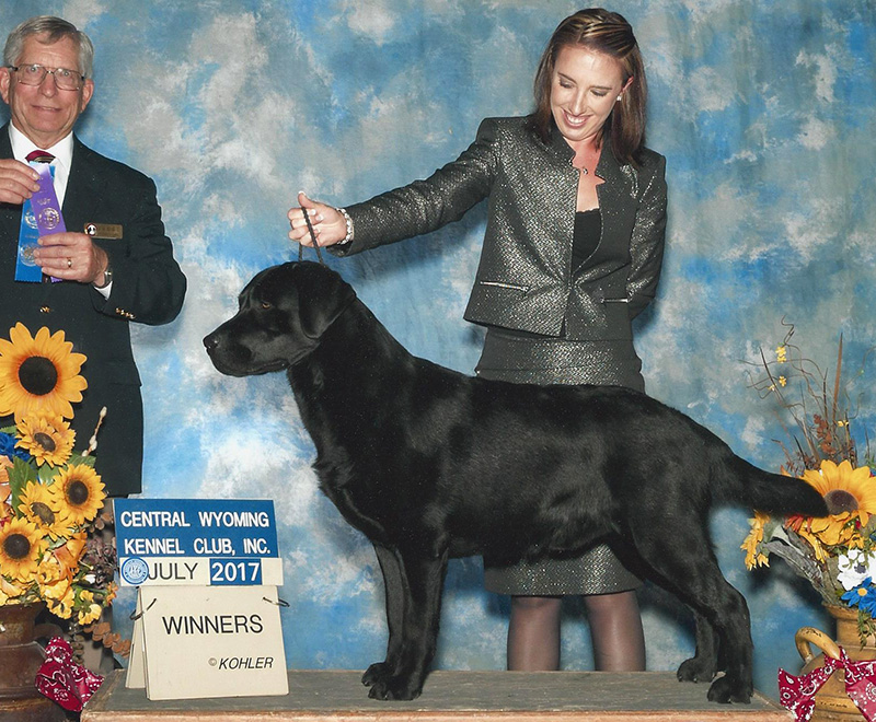 July 30, 2017 @ 18 months WD, WCKC, Wyoming